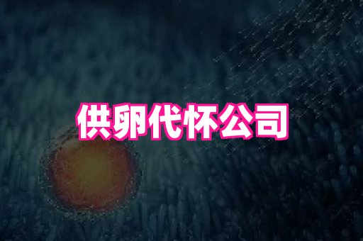 swisee孕网 1