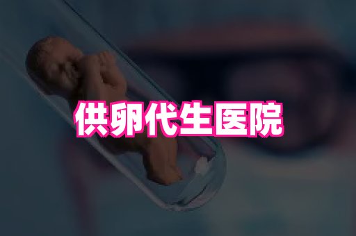 swisee孕网 3